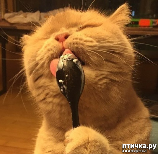 ���� 27: �������� � ���������� �����