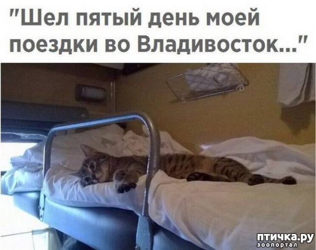 ���� 25: �������� � ���������� �����