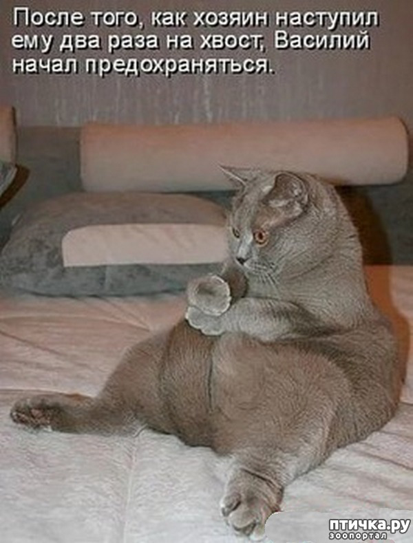 ���� 26: �������� � ���������� �����