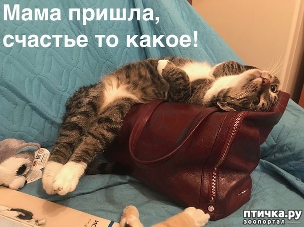 ���� 28: �������� � ���������� �����