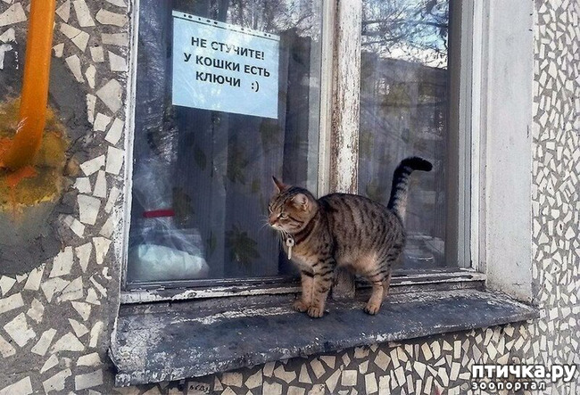 ���� 22: �������� � ���������� �����