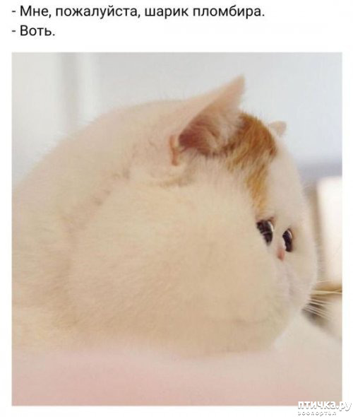 ���� 32: �������� � ���������� �����