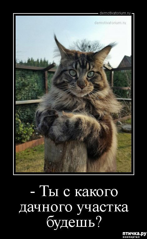 ���� 33: �������� � ���������� �����