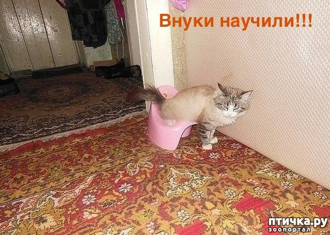 ���� 29: �������� � ���������� �����