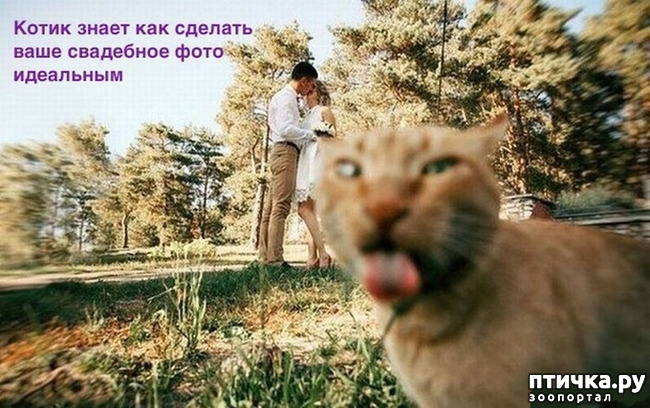 ���� 30: �������� � ���������� �����