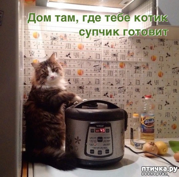 ���� 31: �������� � ���������� �����