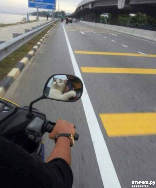 ���� 34: �������� � ���������� �����