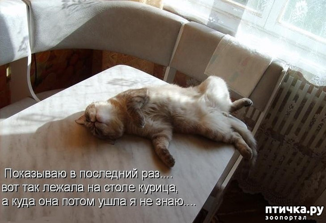 ���� 12: �������� � ���������� �����