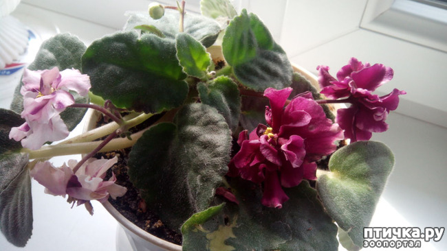 ���� 1: ����� ���� ��������