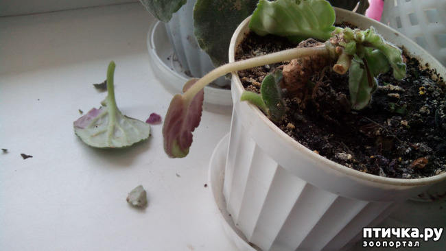 ���� 2: ����� ���� ��������