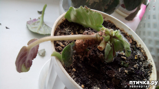 ���� 3: ����� ���� ��������