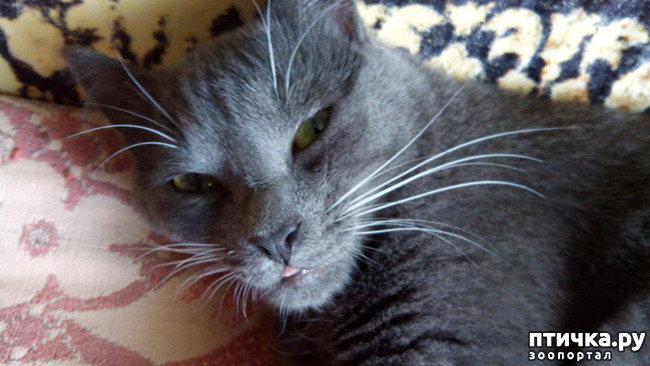 ���� 4: ����� ���� ��������