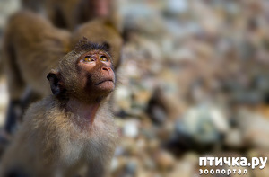 ����: �������� � �������