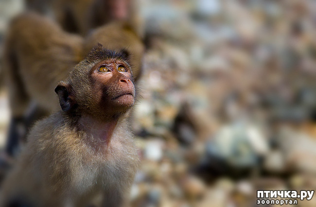 ���� 1: �������� � �������