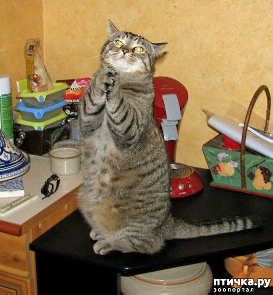 ���� 2: �������� � �������