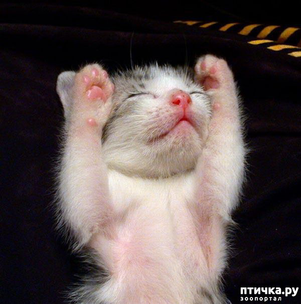 ���� 3: �������� � �������