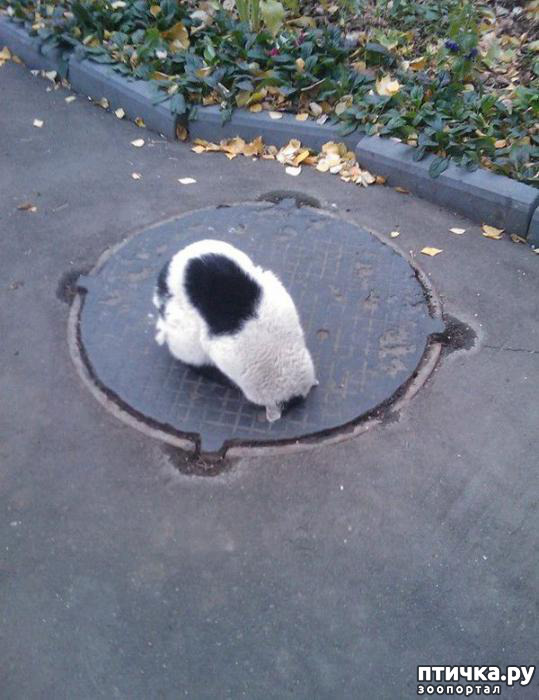 ���� 4: �������� � �������