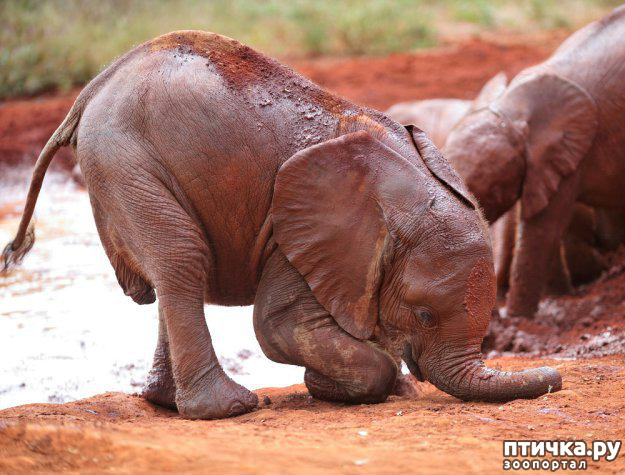 ���� 5: �������� � �������