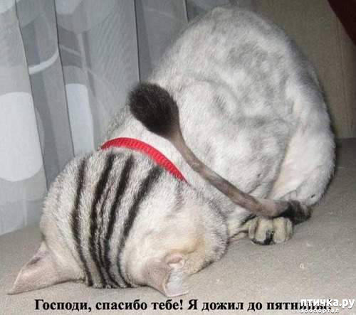 ���� 6: �������� � �������