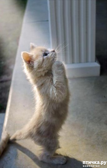 ���� 7: �������� � �������