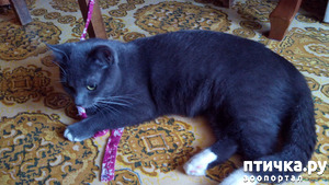 ����: ��� ��� �� ������