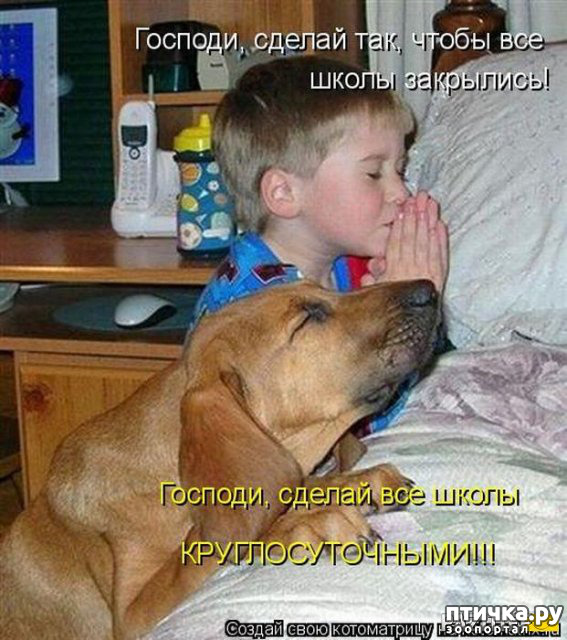 ���� 8: �������� � �������