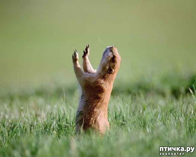 ���� 9: �������� � �������