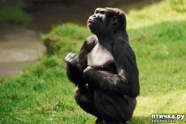 ���� 10: �������� � �������