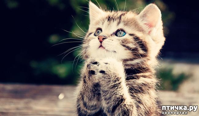 ���� 11: �������� � �������