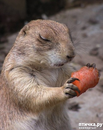 ���� 12: �������� � �������