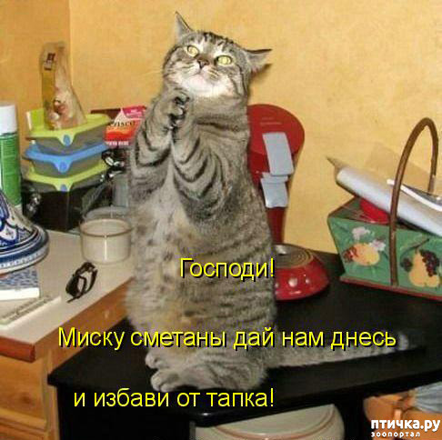 ���� 13: �������� � �������