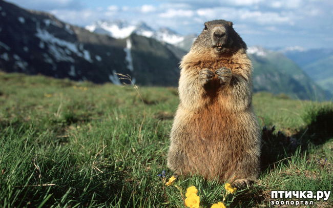 ���� 14: �������� � �������