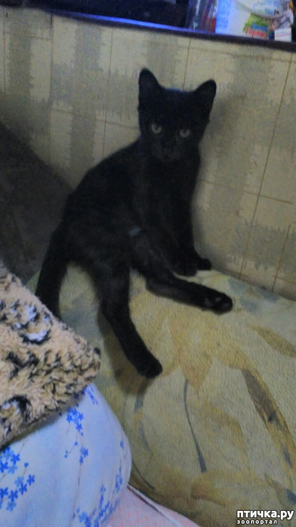 ���� 1: ������� �� ����