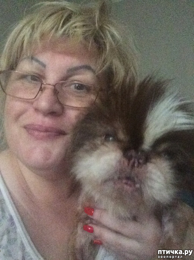 ���� 2: ������� �� ����