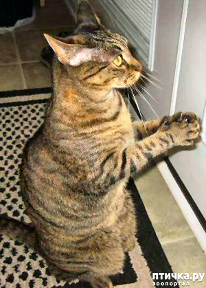 ���� 16: �������� � �������