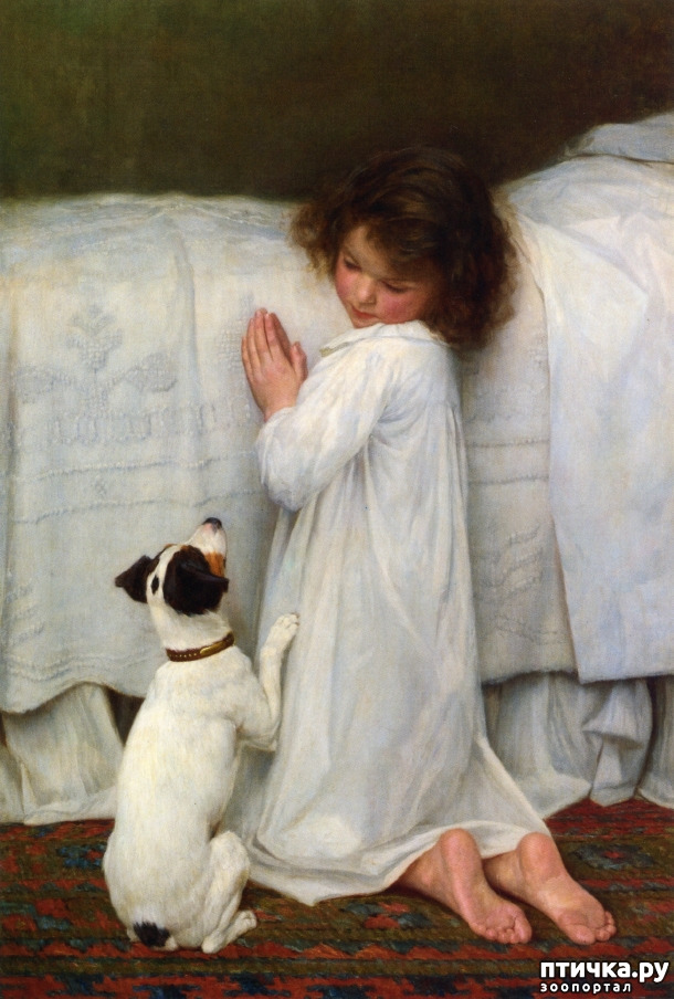 ���� 17: �������� � �������