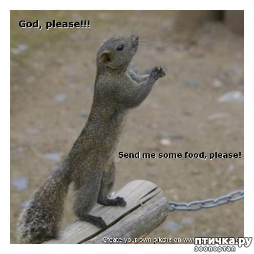 ���� 18: �������� � �������