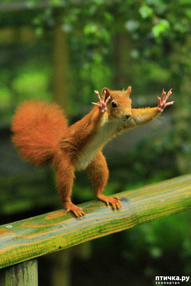 ���� 19: �������� � �������