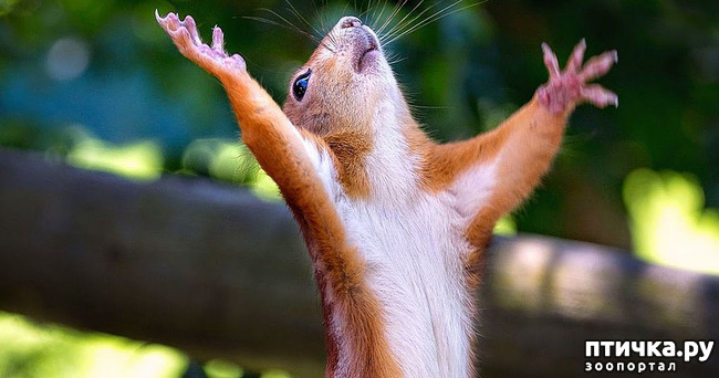 ���� 20: �������� � �������