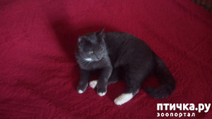 ����: ����� ����� ���������