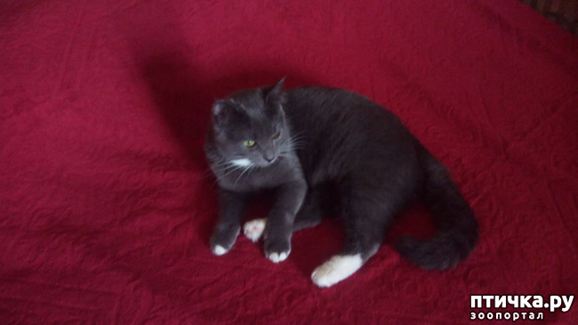 ���� 1: ����� ����� ���������