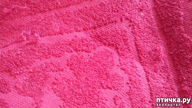 ���� 2: ����� ����� ���������