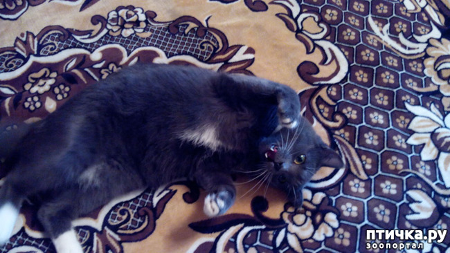 ���� 3: ����� ����� ���������