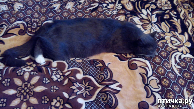 ���� 4: ����� ����� ���������