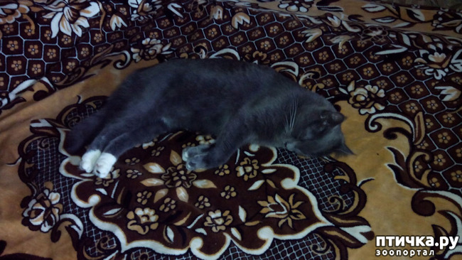 ���� 5: ����� ����� ���������