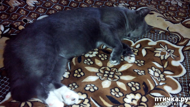 ���� 6: ����� ����� ���������