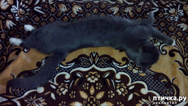 ���� 7: ����� ����� ���������