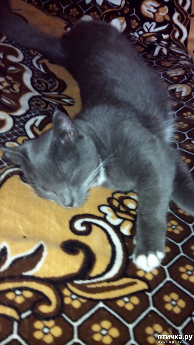 ���� 8: ����� ����� ���������