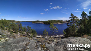 ����: ������, �������