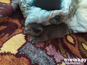 ����: ������� �� ����